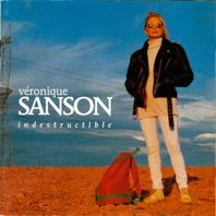 INDESTRUCTIBLE | album 1998